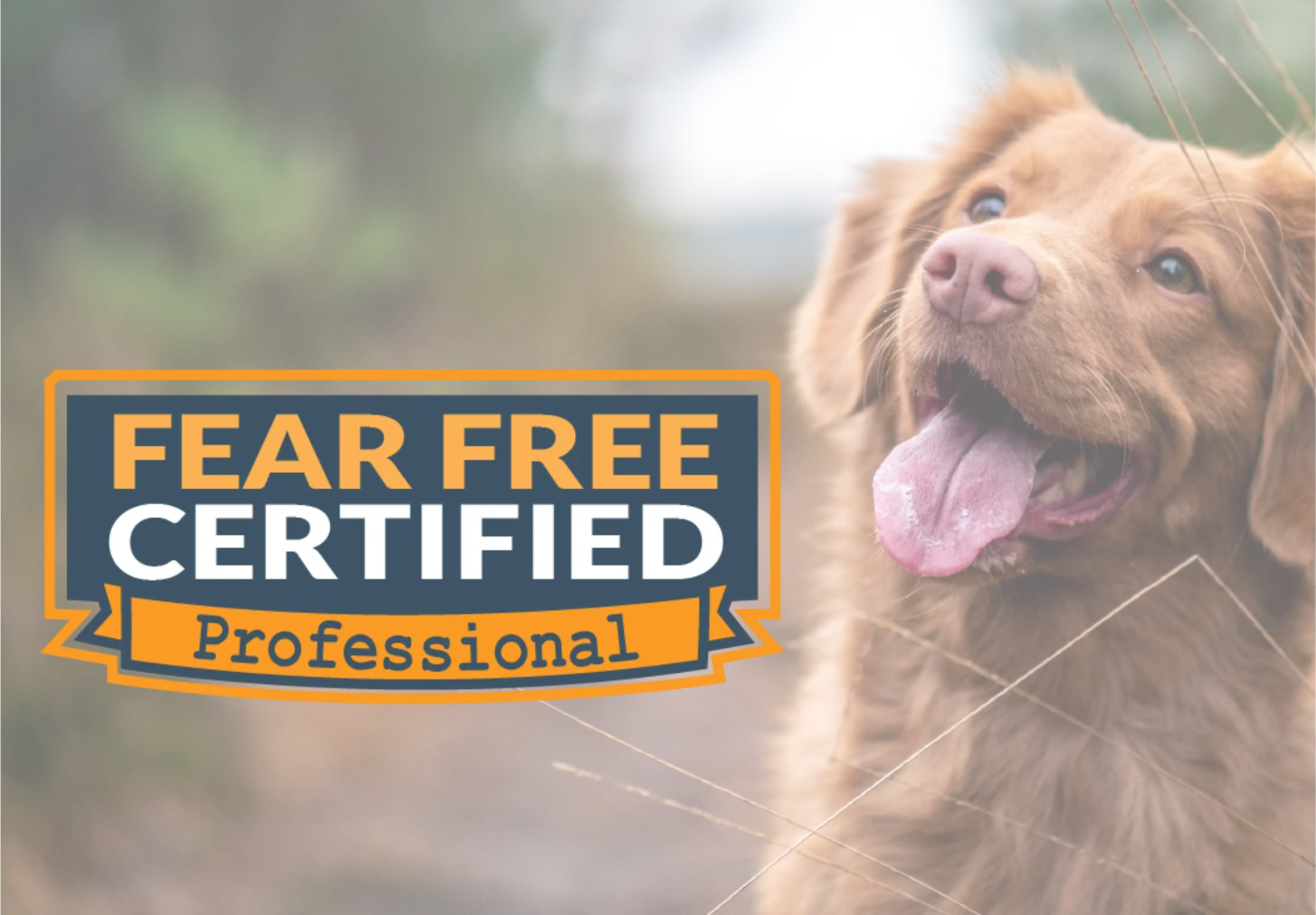Fear free logo with dog